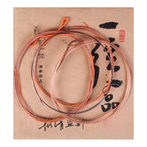 Yixian Yipin Professional Pipa Strings by Yuehai– Steel & Nylon Wound Strings (1st–4th) | Single or Full Set