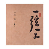 Yuehai YX05 Professional Zhongruan Strings – Full Set or Individual Strings