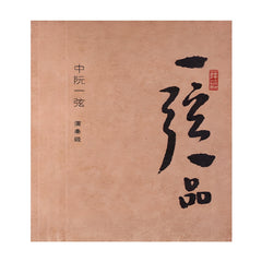 Yuehai YX05 Professional Zhongruan Strings – Full Set or Individual Strings