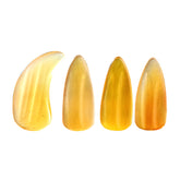 Tongyin Grooved Double-Arc Ox Horn Finger Picks for Guzheng – Professional Grade, Hand-Polished