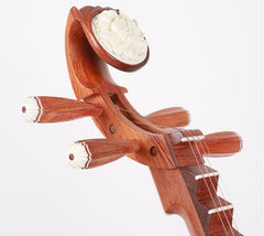 Xinghai Performance Pipa 8914 – Transparent, Bright Tone with Indian Rosewood Craftsmanship