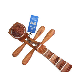 Xinghai Pipa 8914-AA – Premium Dalbergia Oliveri with Auspicious Cloud Carvings