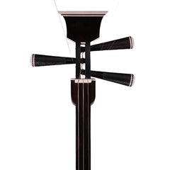 YueHai Model 326 Da Sanxian – Premium East African Blackwood Chinese Three-Stringed Instrument