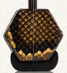 HuQiu Premium Old Rosewood Erhu 5148 (Gold Seal) – Expert Sound Quality Certification by Song Fei