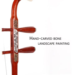 Chinese Erhu 2 Stringed Chinese Rosewood Violin Fiddle Instrument Chinese 2 Stringed Instrument with Learn DVD,Rosin, Hard Case, Clean Cloth, Bridge