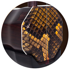 Lu Linsheng Solo Edition Aged Rosewood Zhonghu – Professional Performance & Collector's Model