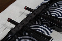 Professional Black Sandalwood Erhu - 2-String Chinese Violin Fiddle with Bow, 10-Grid Python Skin, Learning DVD, Rosin, Cleaning Cloth, Bridge