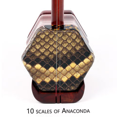 NS Musical Professional Purple Sandalwood(ZITAN) Erhu,Two Stringed Chinese Violin Fiddle Instrument NICOSHINE Erhu with Engraved Dragon Head