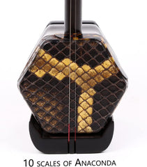 Professional Black Sandalwood Erhu - 2-String Chinese Violin Fiddle with Bow, 10-Grid Python Skin, Learning DVD, Rosin, Cleaning Cloth, Bridge