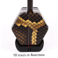 Professional Black Sandalwood Erhu - 2-String Chinese Violin Fiddle with Bow, 10-Grid Drum Skin, Learning DVD, Rosin, Cleaning Cloth, Bridge