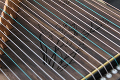 Mini Guzheng Finger Trainer with Complete Accessories Kit and Backpack, Ideal for Professionals, Adults, Beginners, and Children with 21 Strings