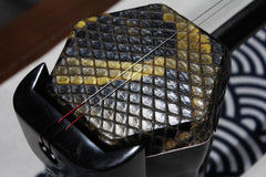 3-Star Professional Black Sandalwood Erhu, Suzhou Made 2-String Chinese Violin