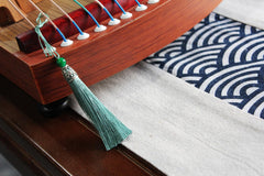 NS Musical Guzheng Finger Trainer with Complete Accessories Kit and Backpack, Ideal for Professionals, Adults