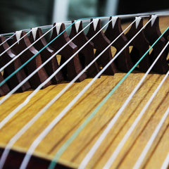Professional Rosewood (ZITAN) Guzheng (163cm) - Handcrafted with Deep-Sea Shell Inlay, Suitable for All Skill Levels, Includes Professional Tuner