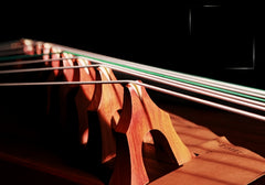 Dunhuang 694D-YY "Mandarin Ducks Playing in Water" Guzheng – 163cm Chinese Zither with Luminous Sound & Elegant Shell Inlay