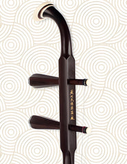 HuQiu Premium Old Rosewood Erhu 5147 (Gold Seal) – Expert Sound Quality Certification by Yu Hongmei