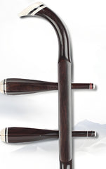 HuQiu Ebony Professional Gaohu 5412 – Premium Chinese High-Pitched Fiddle with Burmese Python Skin & German Strings