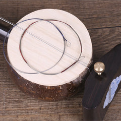 Xinghai Banhu Strings – Inner & Outer Strings Set | Traditional Chinese Folk Instrument Strings