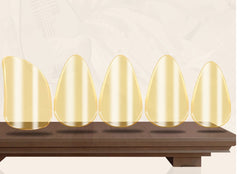 Biyao Celluloid Pipa Picks – Transparent Yellow | Professional Grade for Children & Adults | Full Set with Metal Storage Box