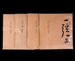 Yuehai YX05 Professional Zhongruan Strings – Full Set or Individual Strings