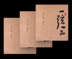 Yuehai YX05 Professional Zhongruan Strings – Full Set or Individual Strings