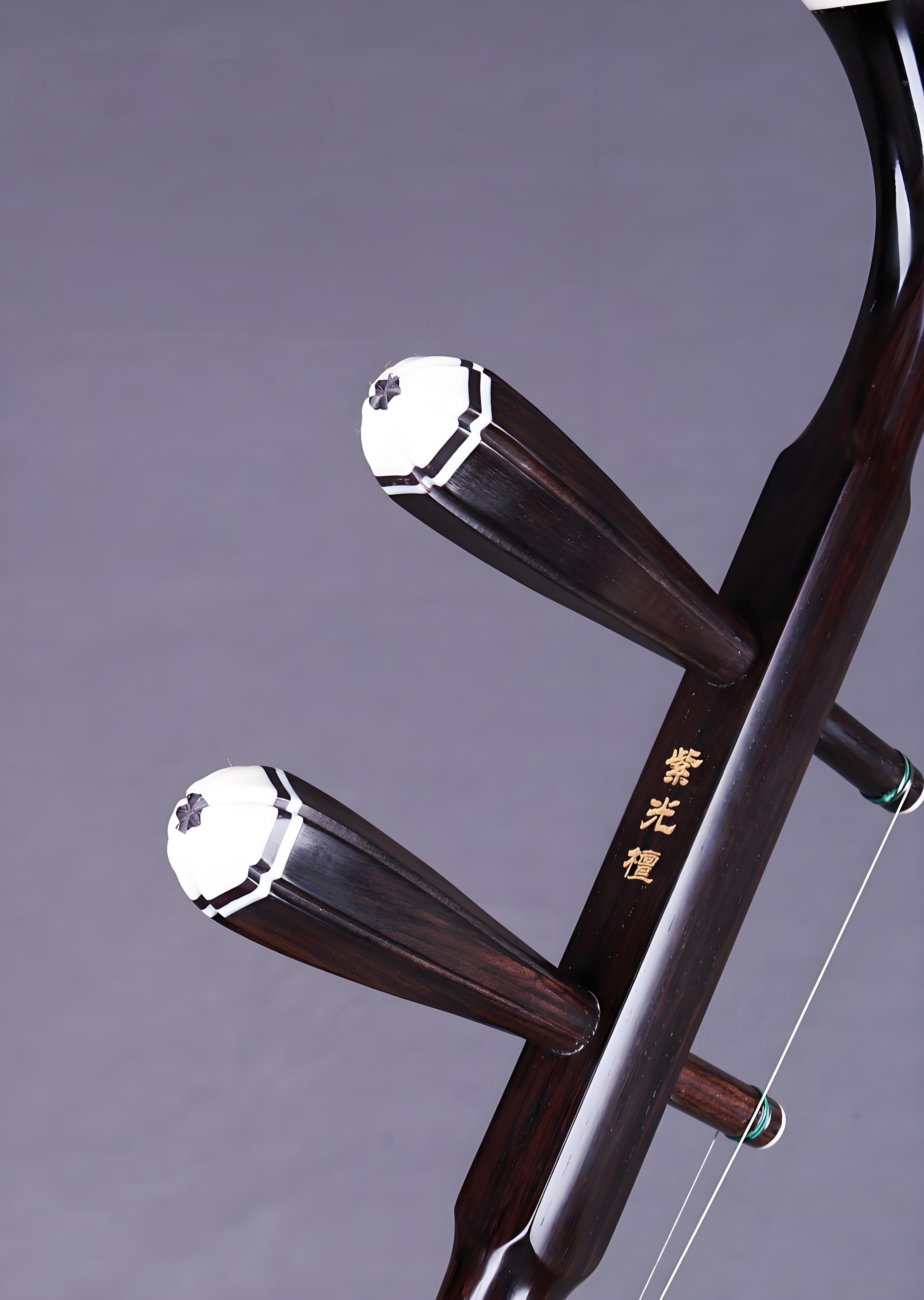Wan Qixing Ebony Erhu – Professional Beginner Chinese Fiddle with Powerful Sound