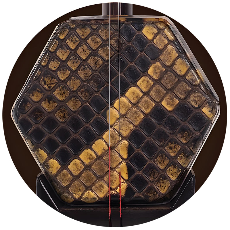 Lu Linsheng 4-Star Premium Old Rosewood Erhu – Silver Label Model for Professional Performance & Exams