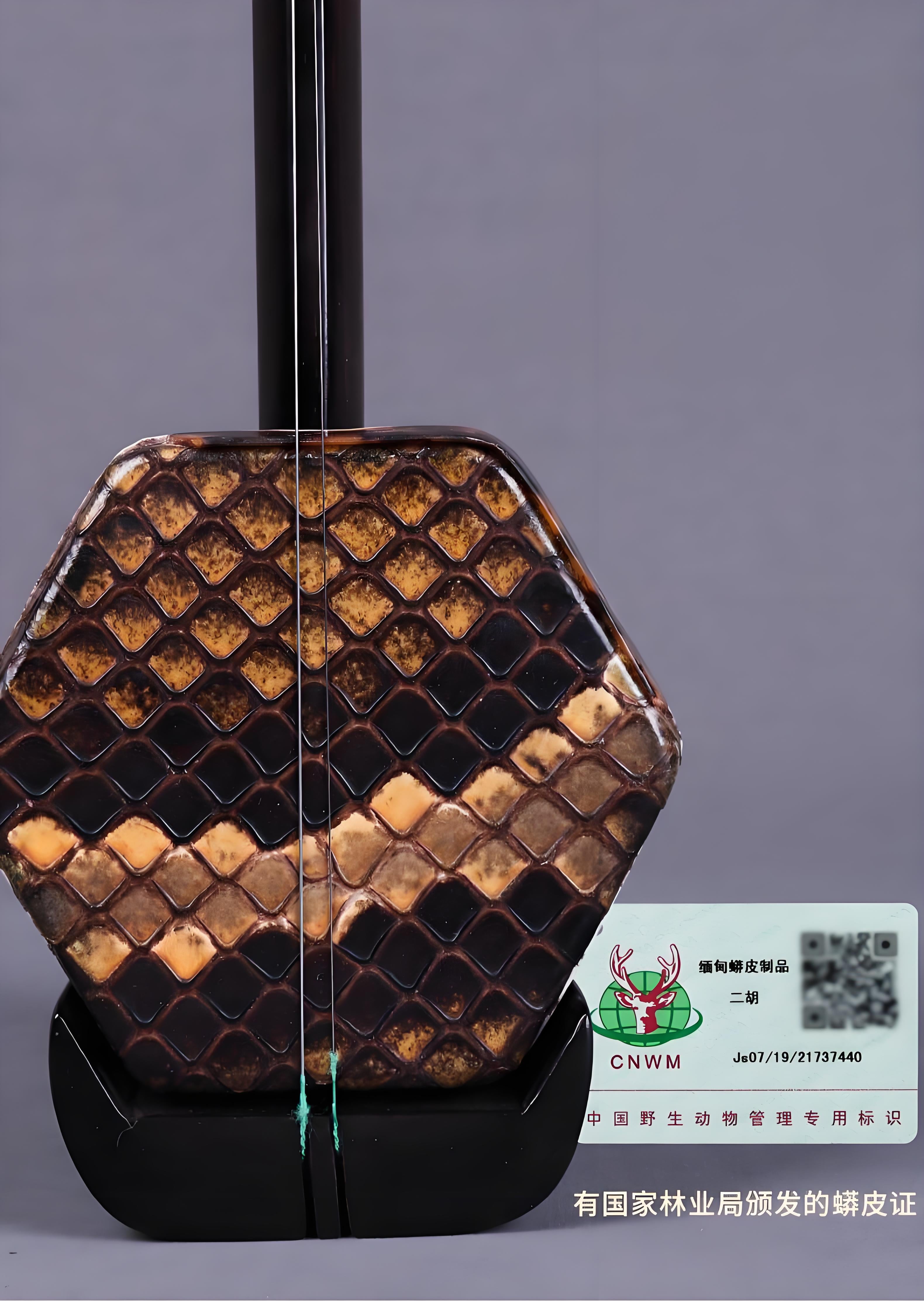 Wan Qixing Ebony Erhu – Professional Beginner Chinese Fiddle with Powerful Sound