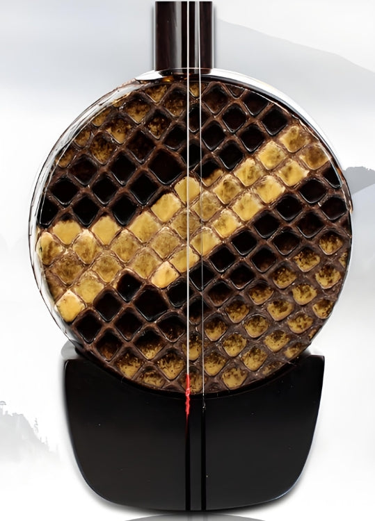 HuQiu Ebony Professional Gaohu 5412 – Premium Chinese High-Pitched Fiddle with Burmese Python Skin & German Strings