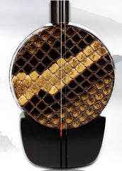 HuQiu Ebony Professional Gaohu 5412 – Premium Chinese High-Pitched Fiddle with Burmese Python Skin & German Strings