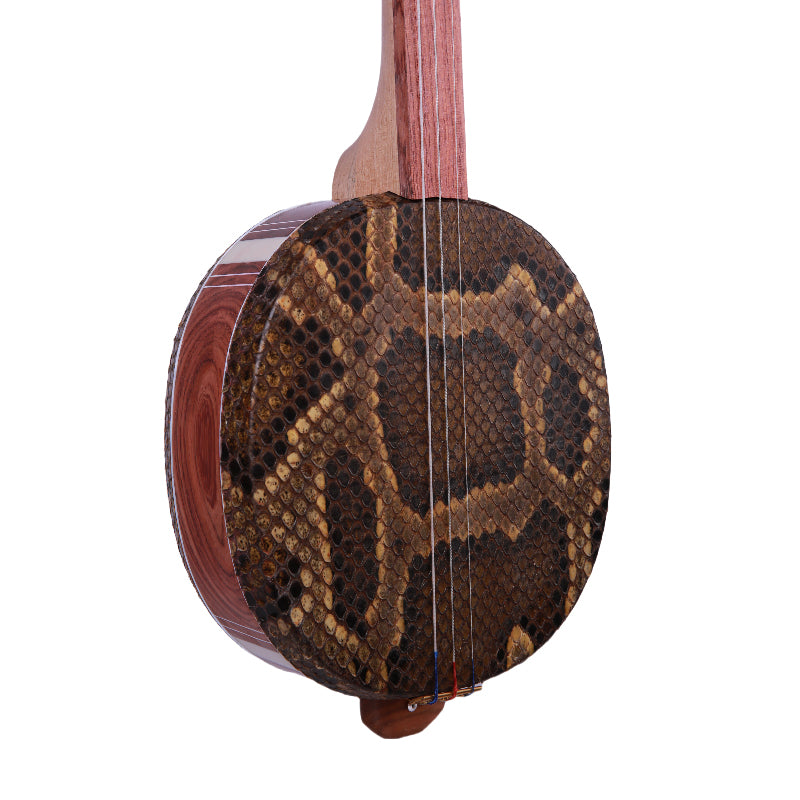 YueHai Model 323 Da Sanxian – Premium Tzumu Wood Chinese Three-Stringed Instrument
