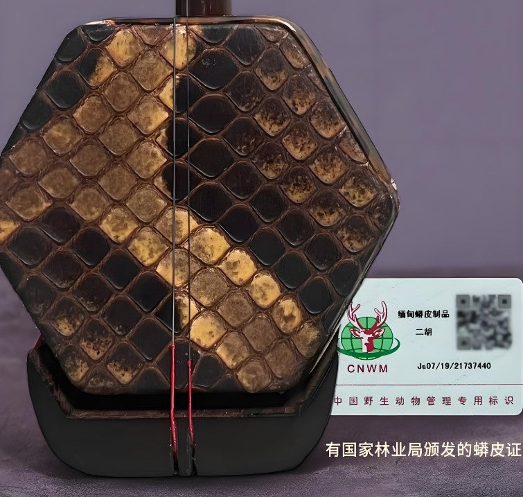 Wan Qixing Ebony(黑檀) Erhu – Authentic Chinese Fiddle for Beginners & Intermediate Players