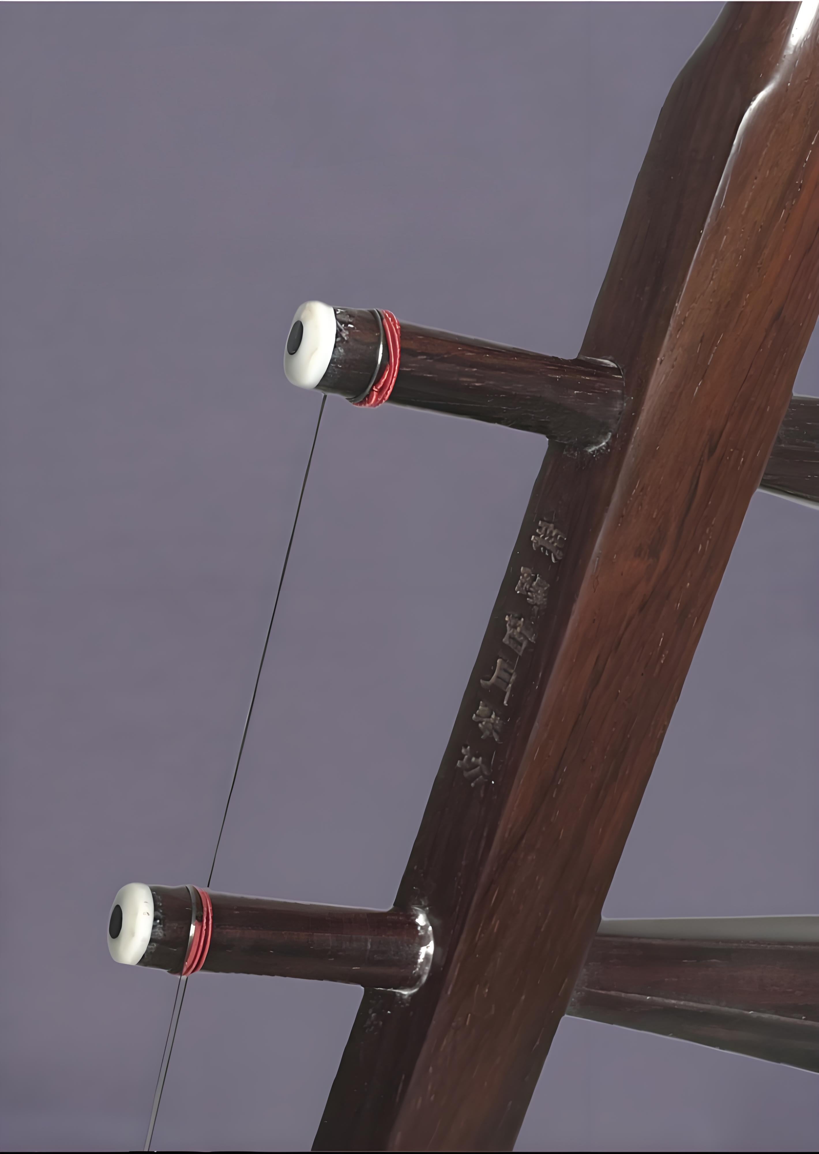 Wan Qixing Ebony(黑檀) Erhu – Authentic Chinese Fiddle for Beginners & Intermediate Players