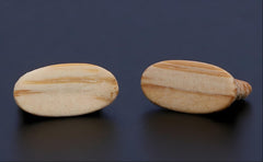 Premium Gaohu Bridges (Set of 2) – Handcrafted Aged Bamboo for Rich and Bright Tone
