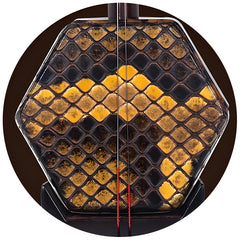 Lu Linsheng Five-Star Aged Rosewood Erhu – Premium Model for Solo Performance & Exams