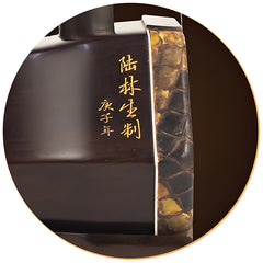Lu Linsheng Five-Star Aged Rosewood Erhu – Professional Solo Instrument for Beginners & Performers