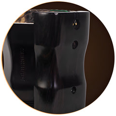 Lu Linsheng Ebony Erhu – Three-Star Model for Beginners & Intermediate Players, Hexagonal Body, Traditional Chinese Instrument