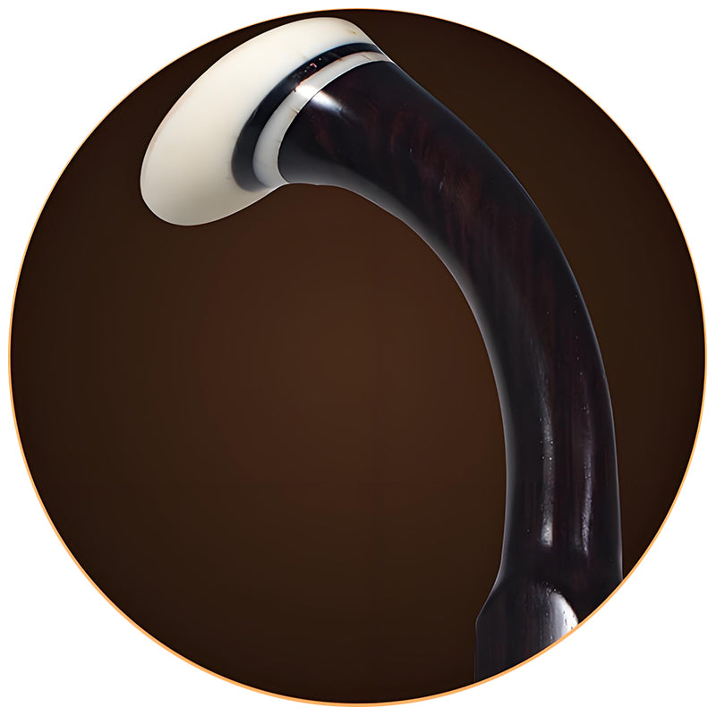 Lu Linsheng Premium 5+ Star Erhu – Aged Rosewood Solo & Exam Model for Professional Use