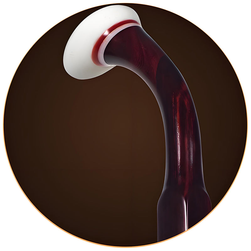 Lu Linsheng Five-Star Collection Erhu – African Red Sandalwood Models for Graded & Solo Performance