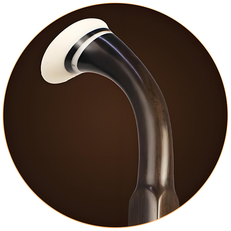 Lu Linsheng Five-Star Aged Rosewood Erhu – Professional Solo Instrument for Beginners & Performers