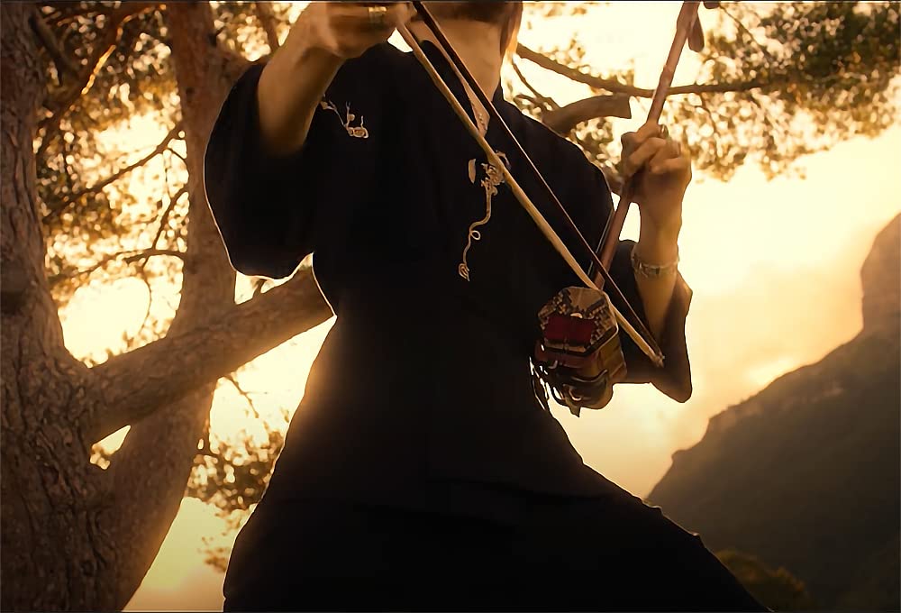 NS Musical Professional Purple Sandalwood(ZITAN) Erhu,Two Stringed Chinese Violin Fiddle Instrument NICOSHINE Erhu with Engraved Dragon Head