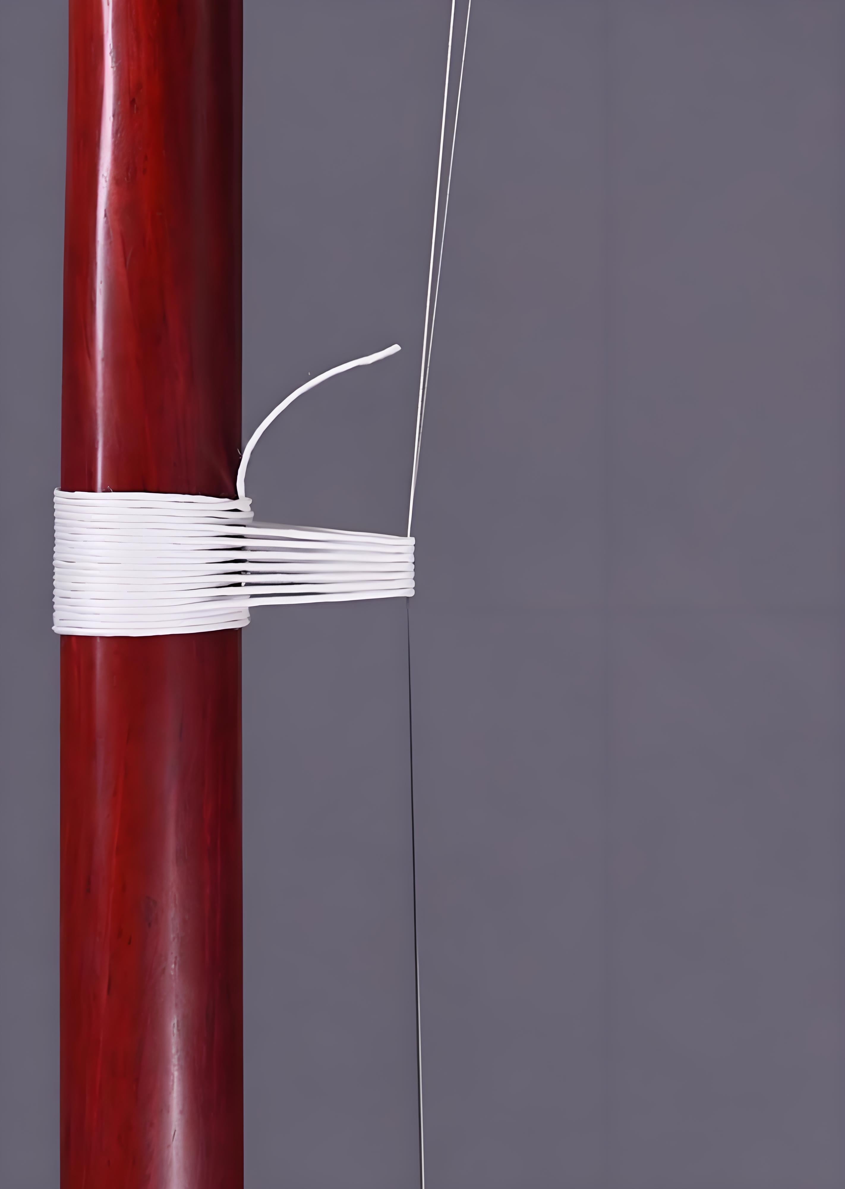 Wan Qixing African Sandalwood Erhu 9503 – Powerful Volume Chinese Fiddle for Beginners