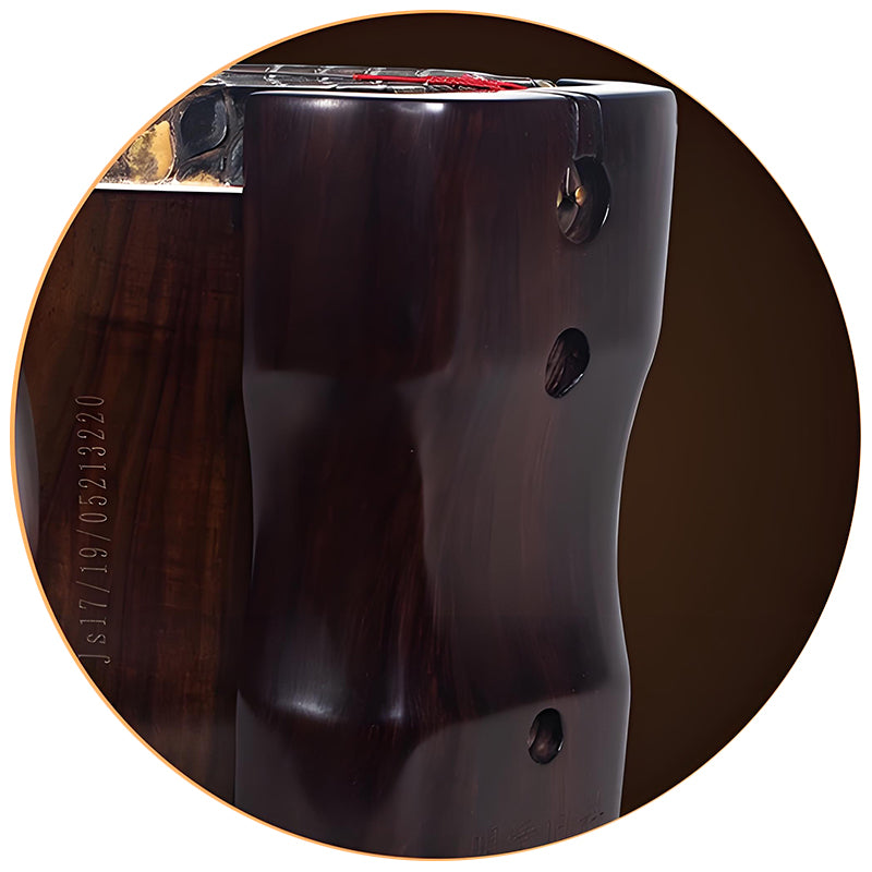 Lu Linsheng Five-Star Aged Rosewood Erhu – Premium Model for Solo Performance & Exams