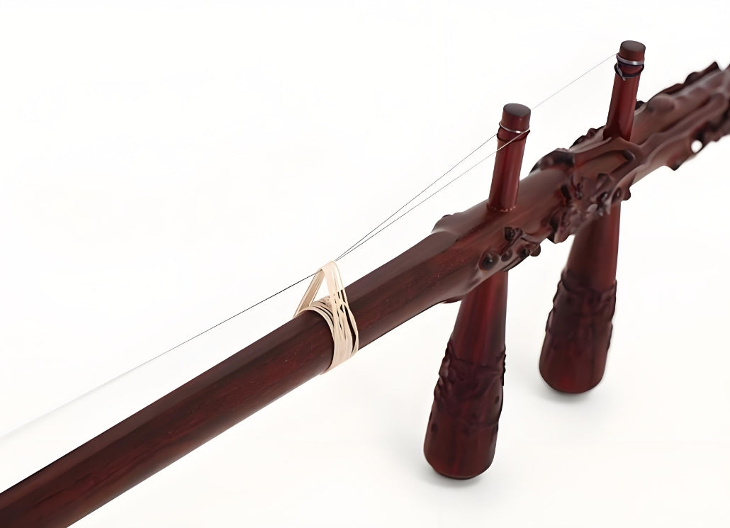 HuQiu "Subtle Fragrance & Graceful Shadows" Indian Small-Leaf Rosewood Erhu 5168-P – Professional Performance Erhu