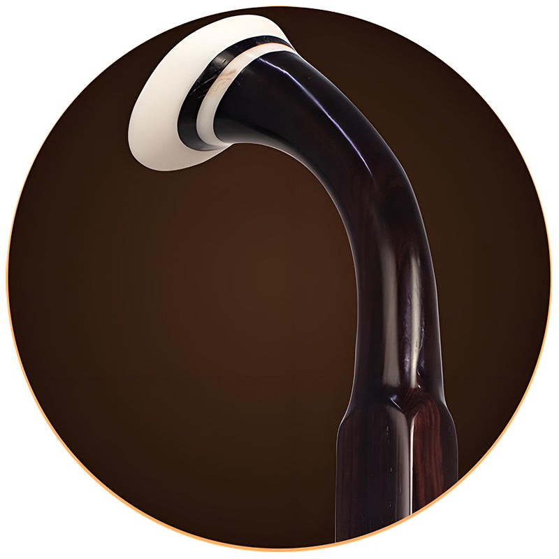 Lu Linsheng 4-Star Premium Old Rosewood Erhu – Silver Label Model for Professional Performance & Exams