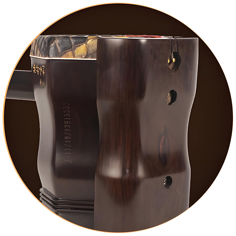 Lu Linsheng Five-Star Aged Rosewood Erhu – Professional Solo Instrument for Beginners & Performers