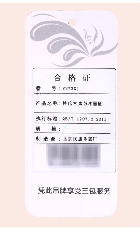 Xinghai Performance Pipa 8973QJ – Transparent, Bright Tone with Tiete Rosewood Craftsmanship