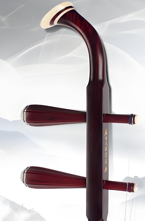 HuQiu Premium Indian Small-Leaf Rosewood Erhu 5168 (Gold Medal) – Professional Performance Erhu