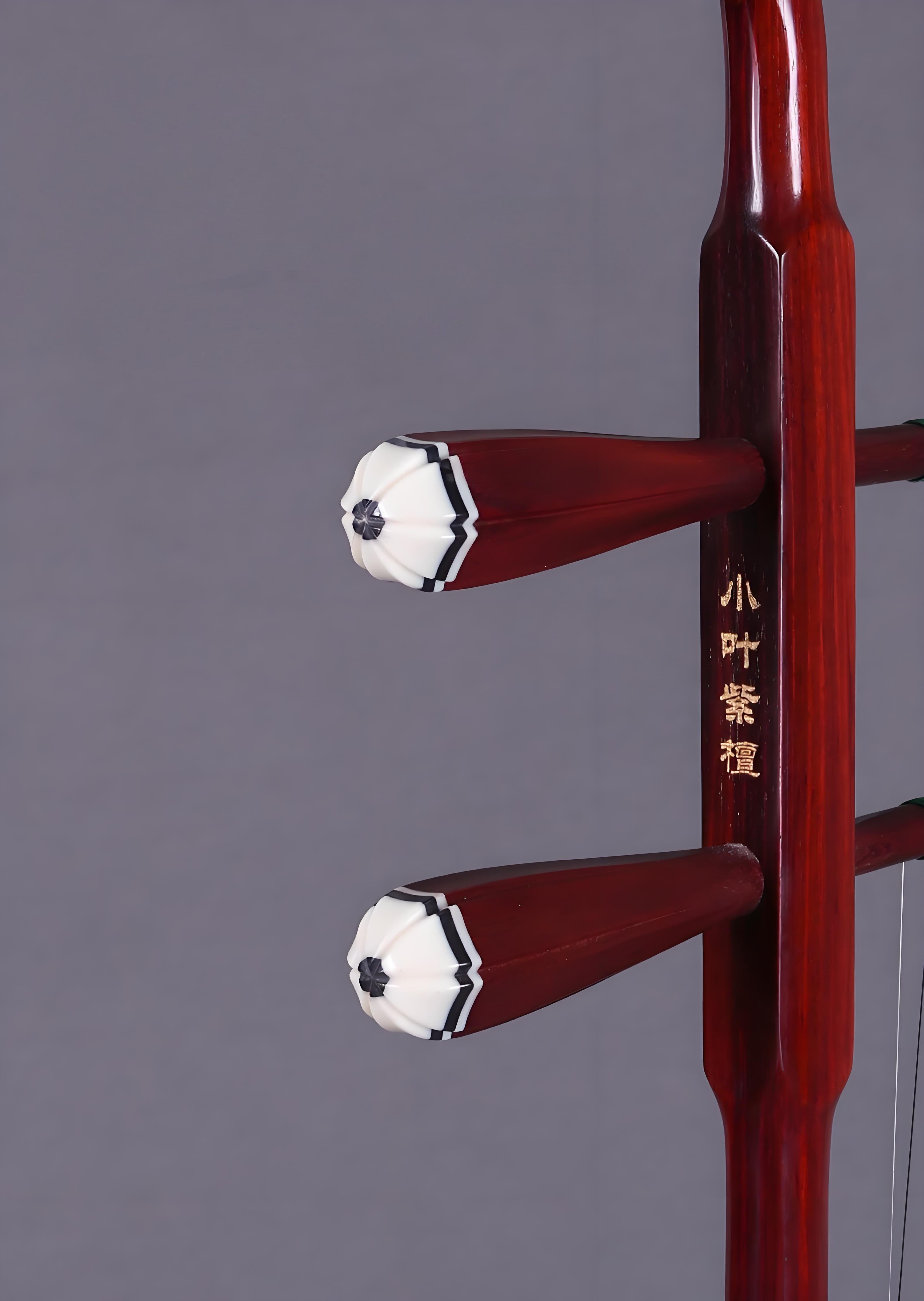 Wan Qixing African Sandalwood Erhu – Professional Grade for Beginners & Performers