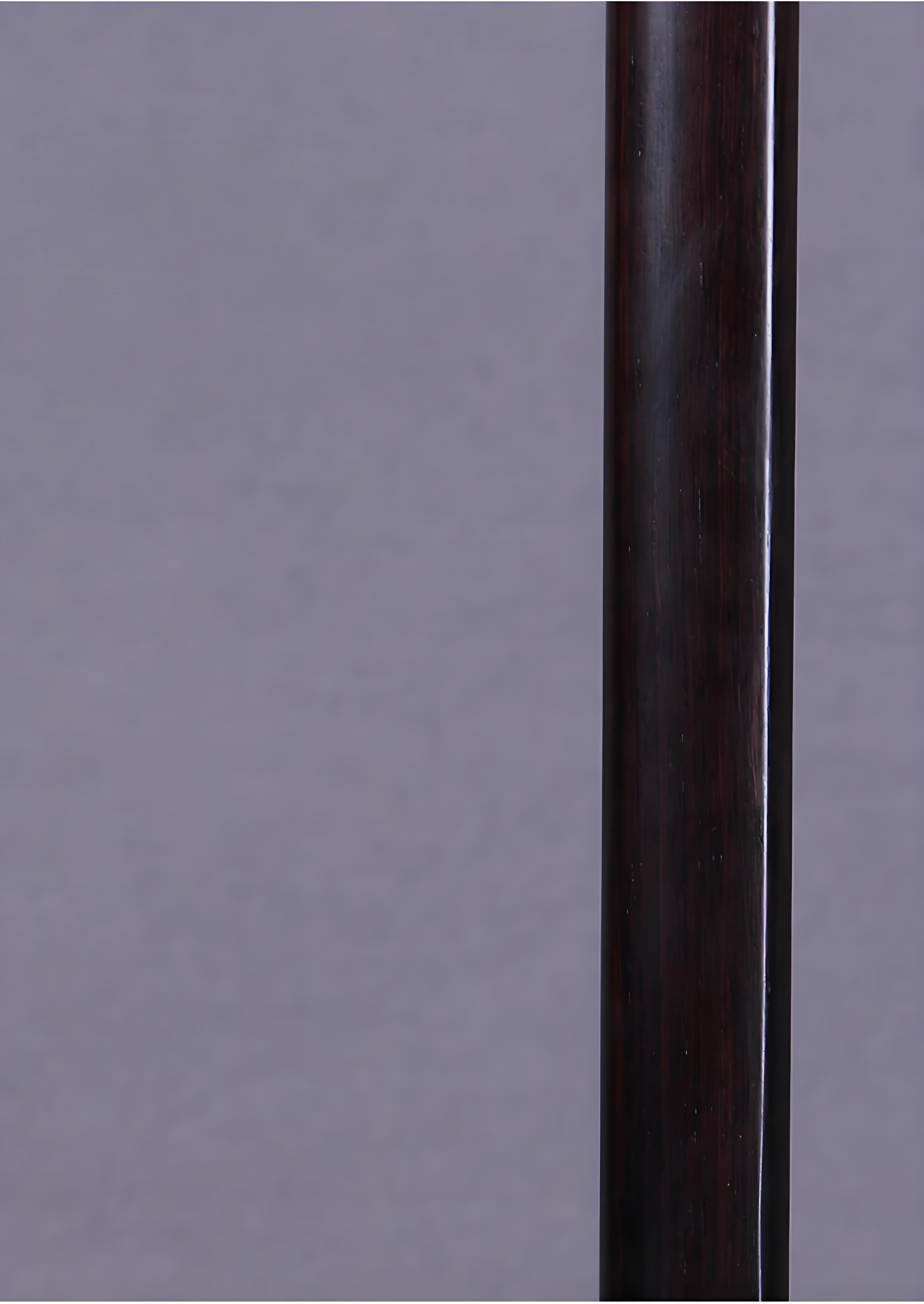 Wan Qixing Ebony Erhu – Professional Beginner Chinese Fiddle with Powerful Sound